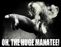THE HUGE MANATEE REFUSES TO BE EXCLUDED BY YOUR NARROW CONCEPTUAL FRAMEWORK. THE MANATEE OPERATES ON THE LEVEL OF ENDOCRINOLOGY.  ALSO HYDROGEN AND LOLS.